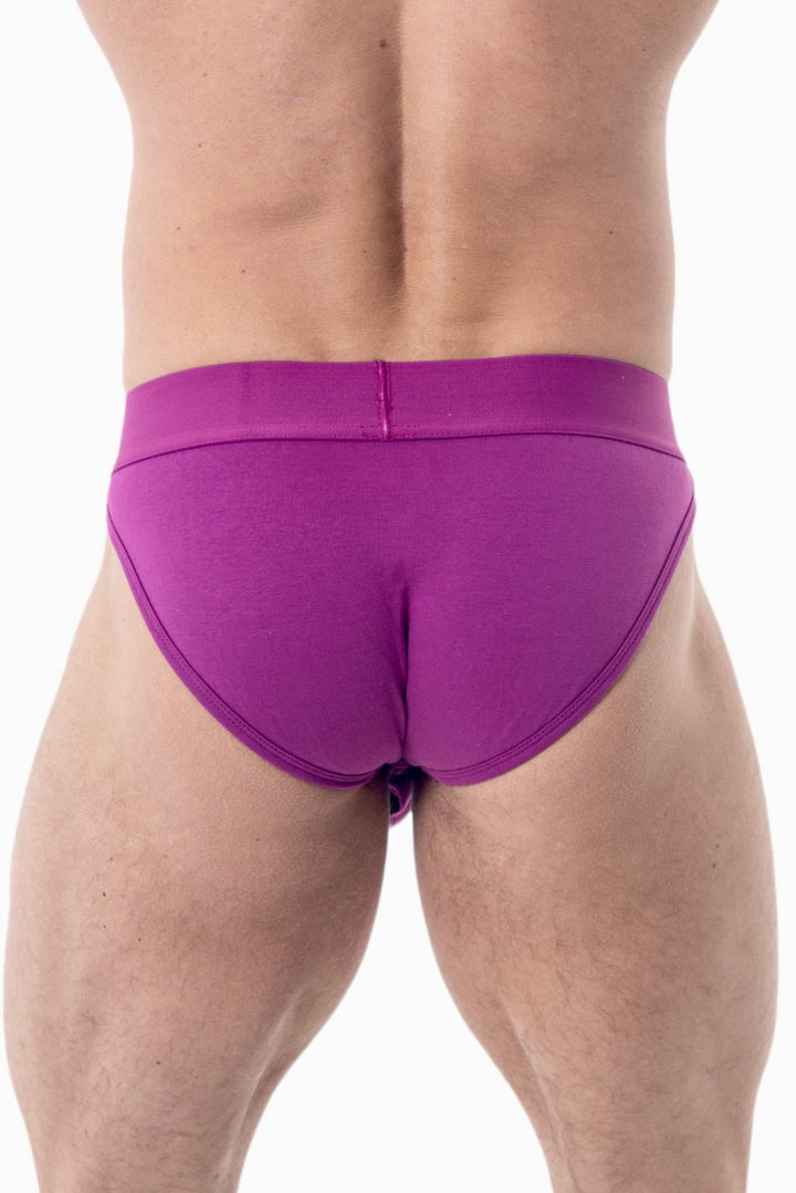 VIVES ENHANCE BRIEFS - PURPLE