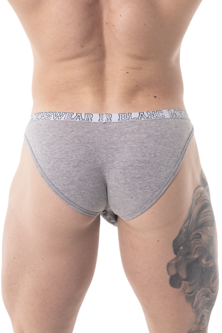 SPORTSTER ENHANCE BRIEFS - GREY